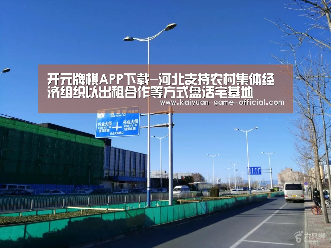开元牌棋官网