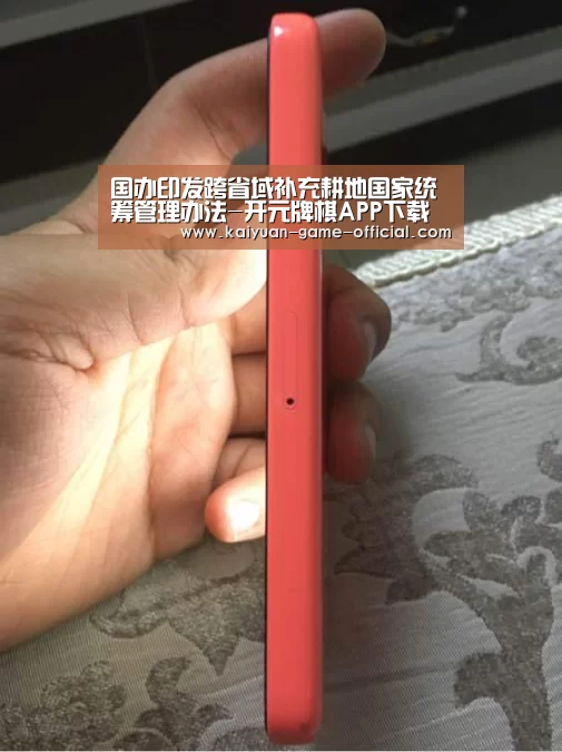 国办印发跨省域补充耕地国家统筹管理办法-开元牌棋APP下载(图2) 开元牌棋